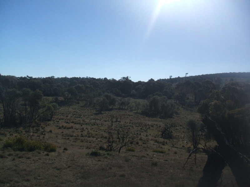 Lots 2 & 5 Shannons Flat Road, Cooma NSW 2630