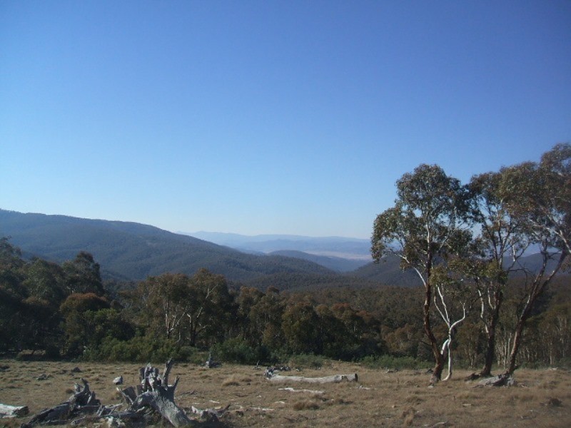 Lots 2 & 5 Shannons Flat Road, Cooma NSW 2630