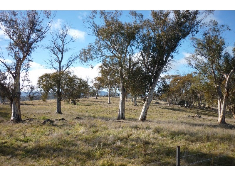 Lot 22 Snowy Mountains Highway, Adaminaby NSW 2629