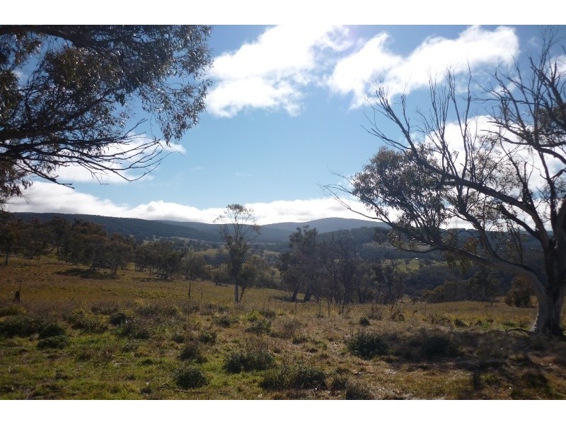 Lot 22 Snowy Mountains Highway, Adaminaby NSW 2629