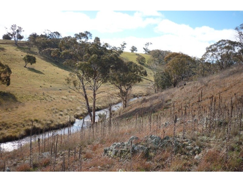 Lot 22 Snowy Mountains Highway, Adaminaby NSW 2629