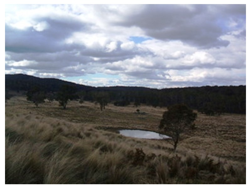 Lot 3 Greens Road, Kybeyan NSW 2631