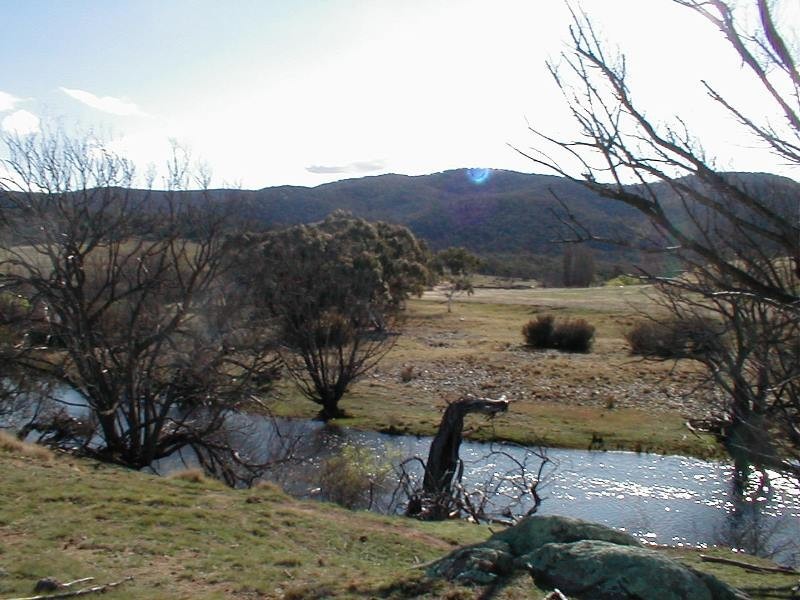 Lots 2 & 3 333 Murrells Road, Cooma NSW 2630