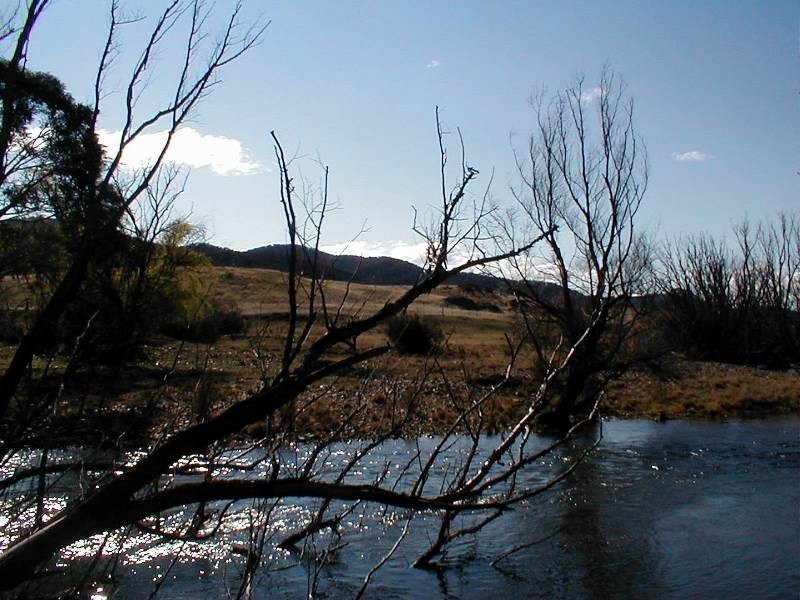 Lots 2 & 3 333 Murrells Road, Cooma NSW 2630