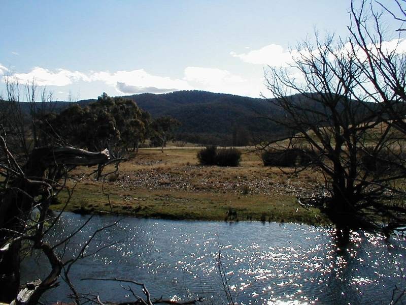 Lots 2 & 3 333 Murrells Road, Cooma NSW 2630