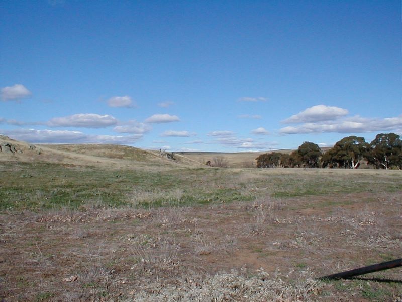 Lots 2 & 3 333 Murrells Road, Cooma NSW 2630