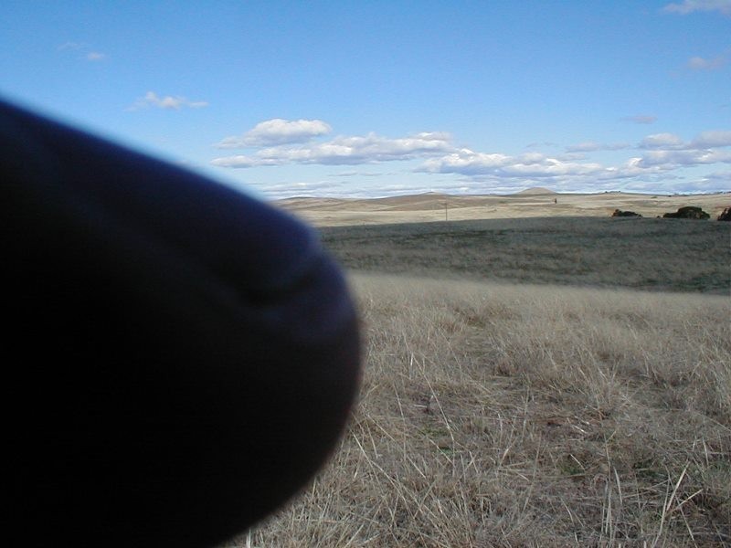 Lots 2 & 3 333 Murrells Road, Cooma NSW 2630