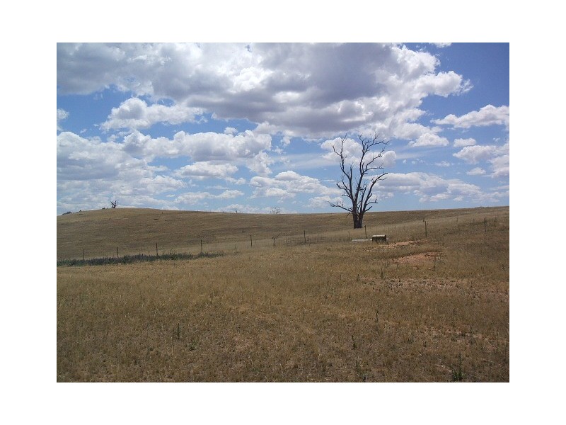 Lot 7 Ironmongie Road, Dalgety NSW 2628