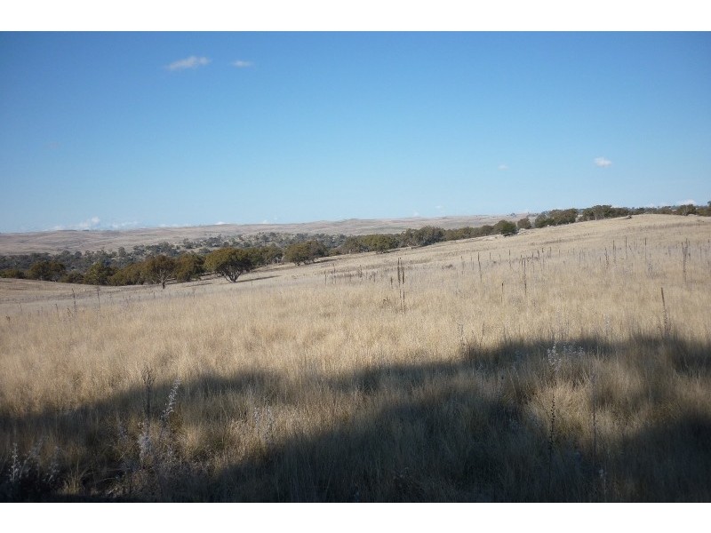 Lot 7 Ironmongie Road, Dalgety NSW 2628