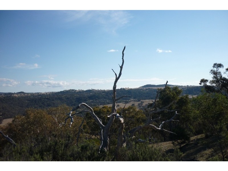 Lot 7 Ironmongie Road, Dalgety NSW 2628