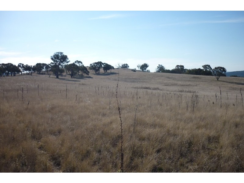 Lot 7 Ironmongie Road, Dalgety NSW 2628