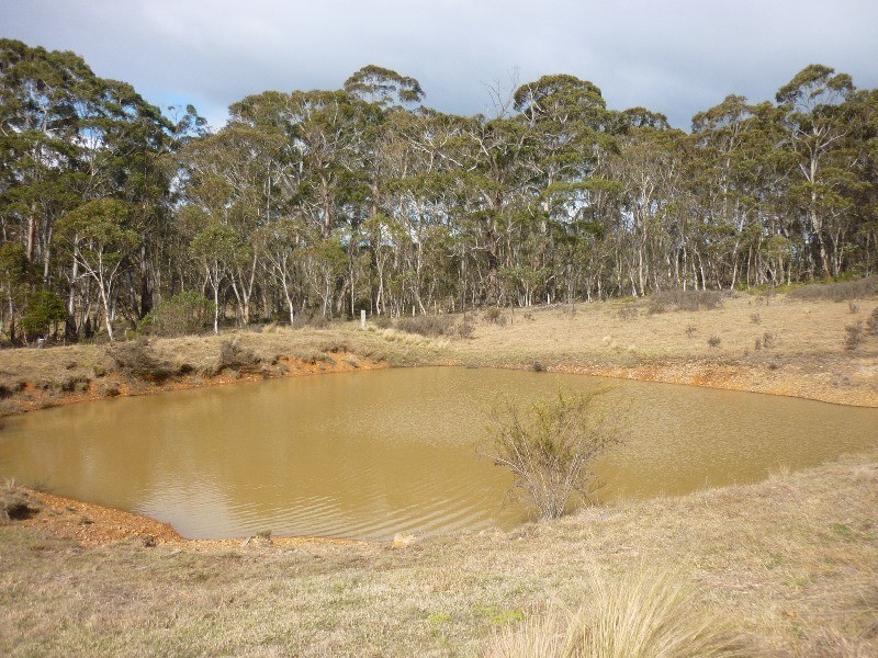 1484 Tuross Road, Tuross NSW 2630