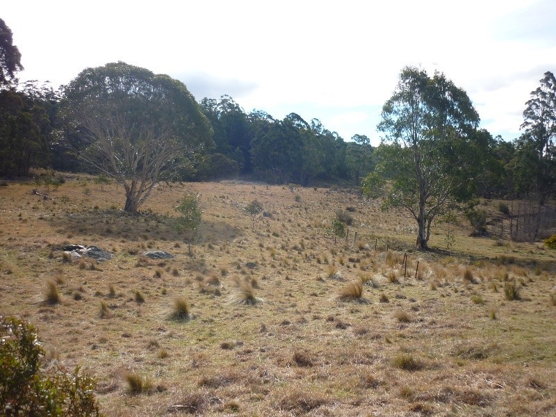 1484 Tuross Road, Tuross NSW 2630