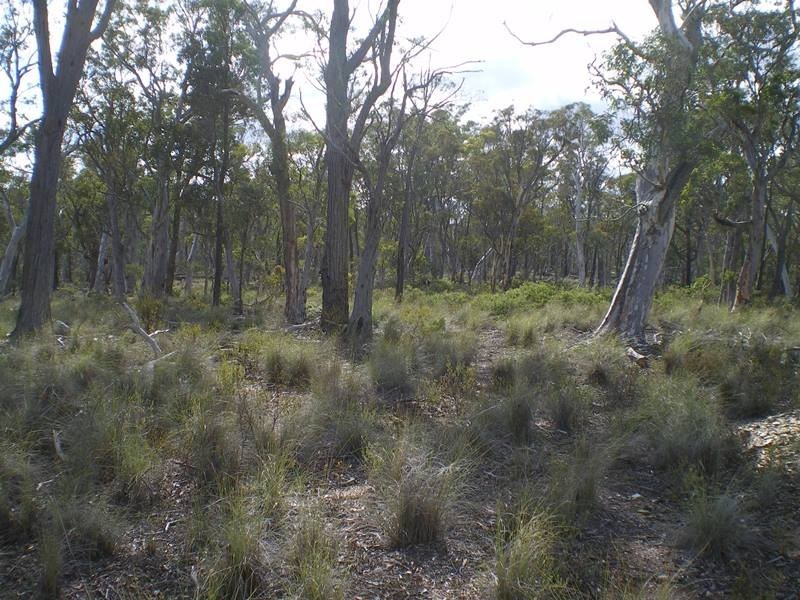 Lot 76 Mt Macanally Via, Peak View NSW 2630