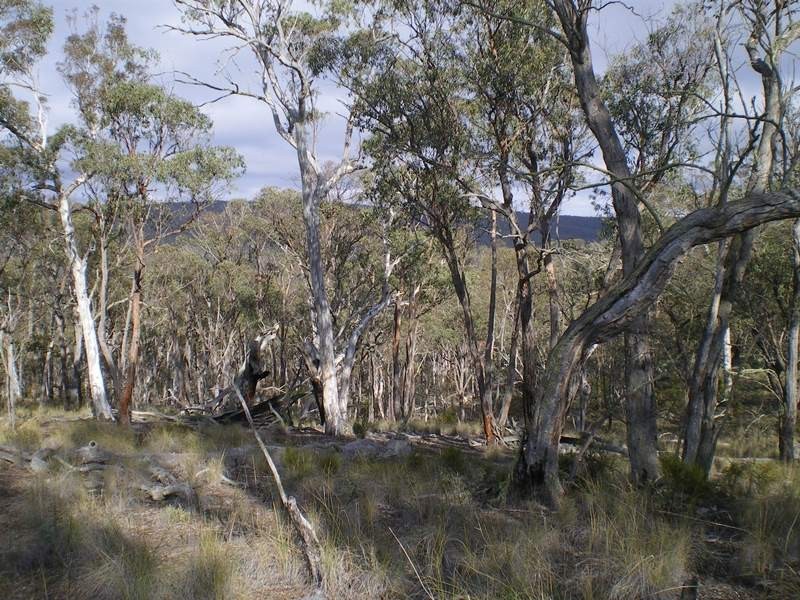 Lot 76 Mt Macanally Via, Peak View NSW 2630