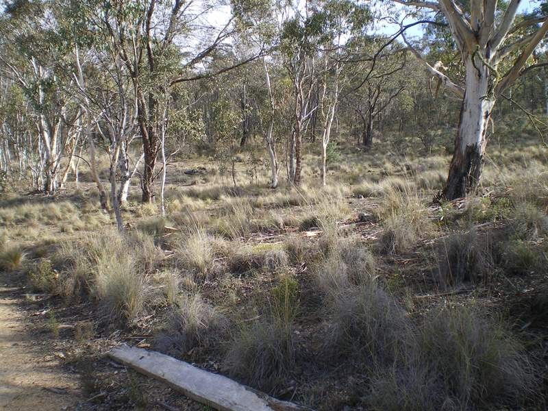 Lot 76 Mt Macanally Via, Peak View NSW 2630