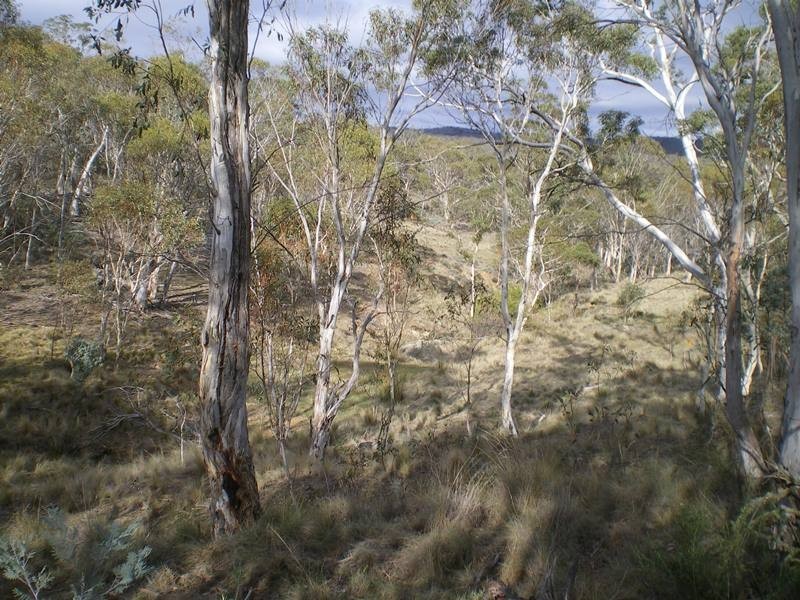 Lot 76 Mt Macanally Via, Peak View NSW 2630