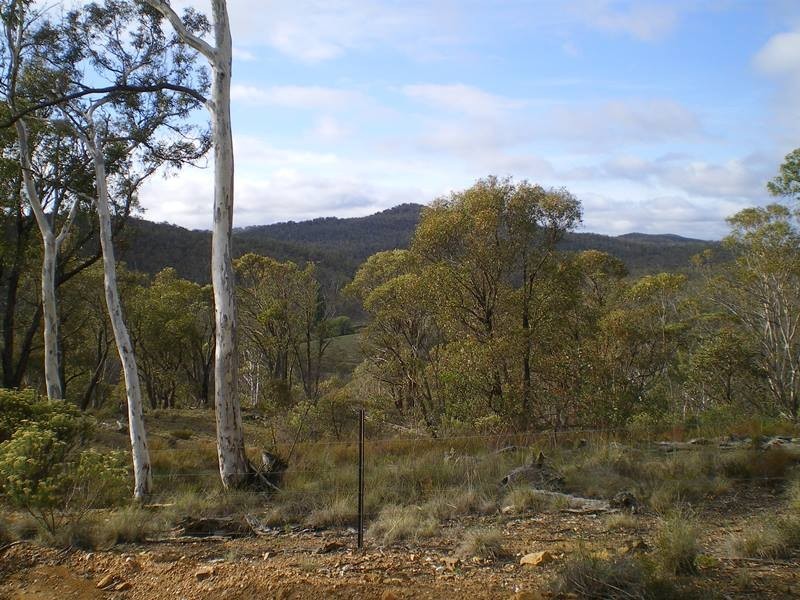 Lot 76 Mt Macanally Via, Peak View NSW 2630