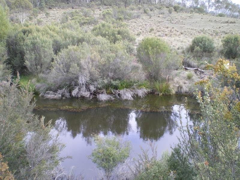 Lot 76 Mt Macanally Via, Peak View NSW 2630