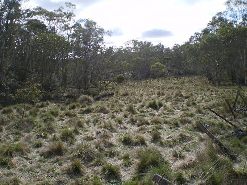 Lot 76 Mt Macanally Via, Peak View NSW 2630