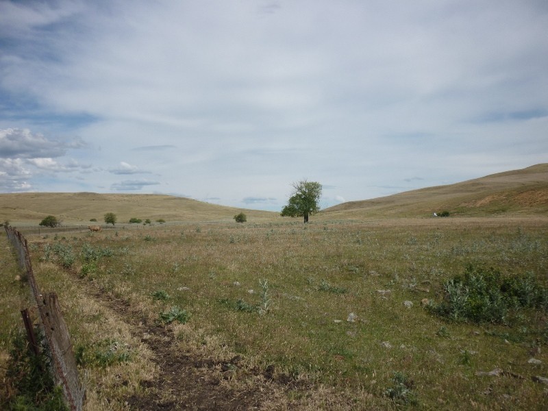 2871 Myalla Road, Cooma NSW 2630