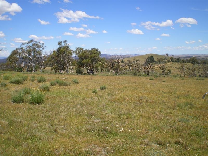 590 Muddah Lake Road, Cooma NSW 2630