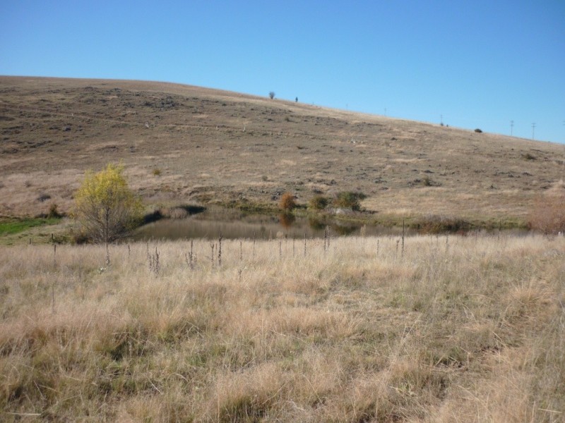 51 Snowy Creek Ave, Cooma NSW 2630
