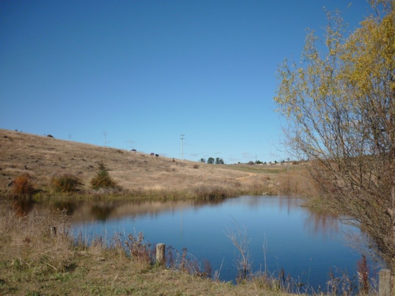 51 Snowy Creek Ave, Cooma NSW 2630