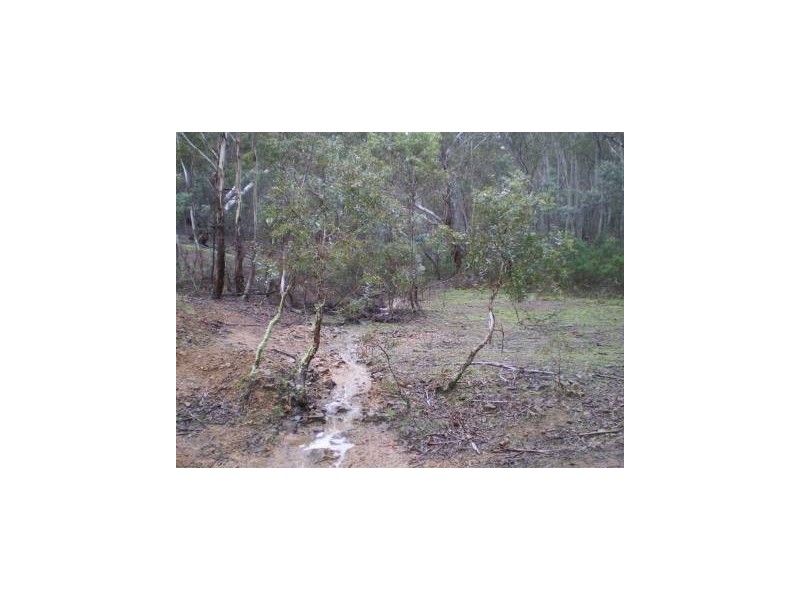 1285 Corrowong Road, Delegate NSW 2633