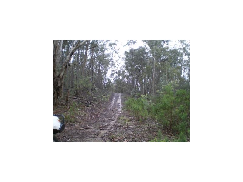 1285 Corrowong Road, Delegate NSW 2633