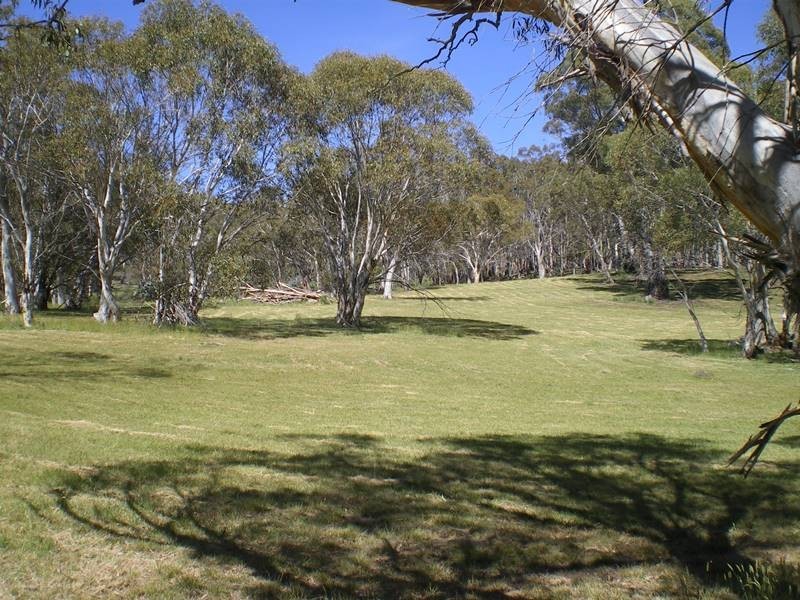 6067 Snowy Mountains Highway via, Adaminaby NSW 2629