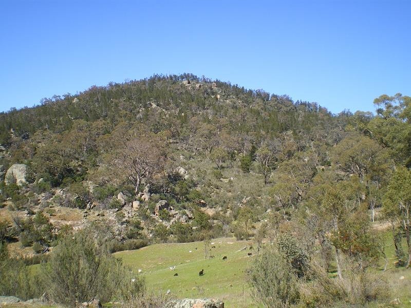 1553 Matong Road, Numbla Vale NSW 2628