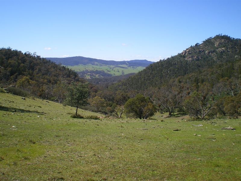 1553 Matong Road, Numbla Vale NSW 2628