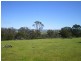 1553 Matong Road, Numbla Vale NSW 2628