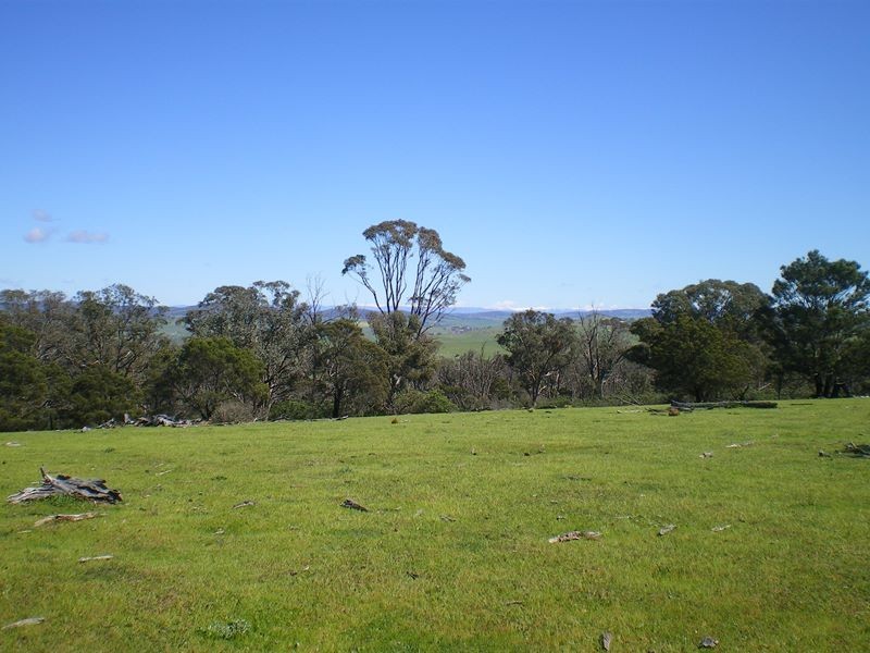 1553 Matong Road, Numbla Vale NSW 2628