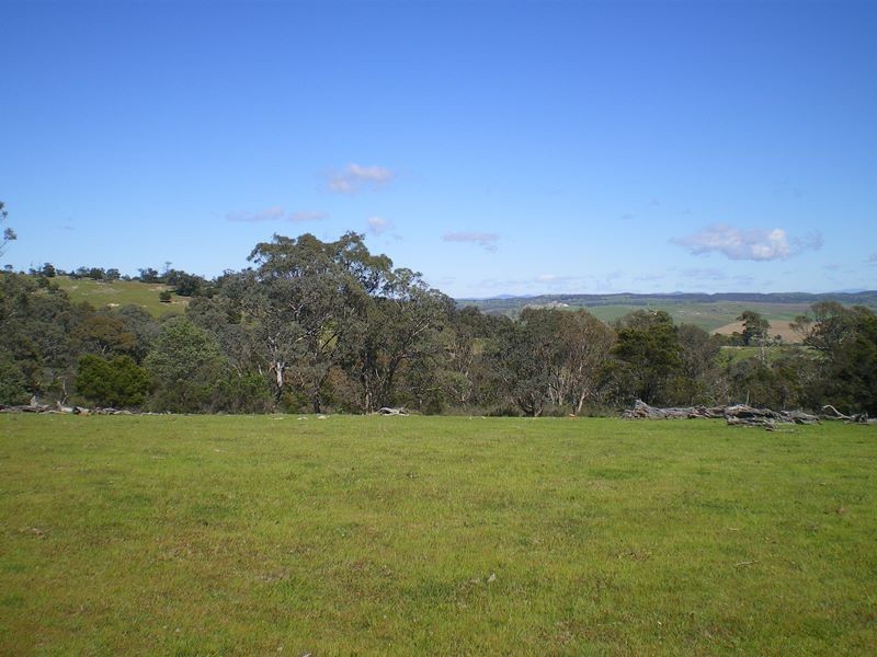 1553 Matong Road, Numbla Vale NSW 2628