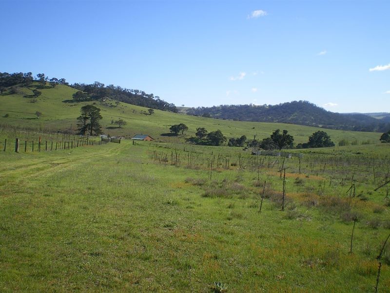 1553 Matong Road, Numbla Vale NSW 2628