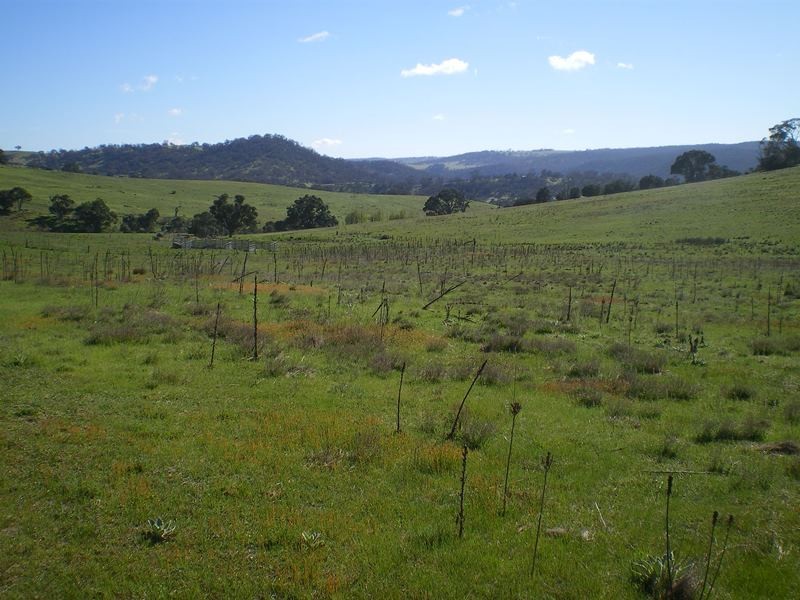 1553 Matong Road, Numbla Vale NSW 2628