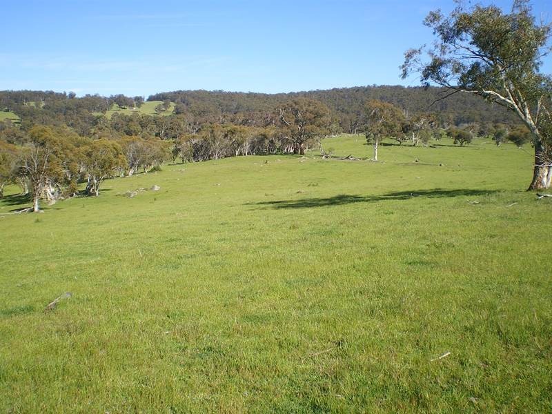 Part Glynwood Bugtwon Road, Adaminaby NSW 2629