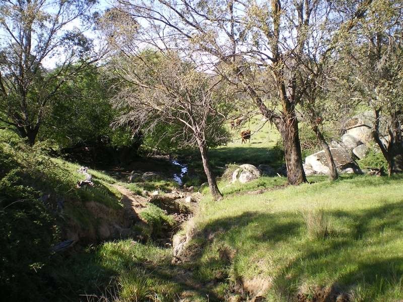 Part Glynwood Bugtwon Road, Adaminaby NSW 2629