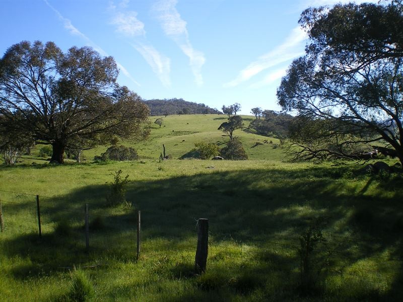 Part Glynwood Bugtwon Road, Adaminaby NSW 2629