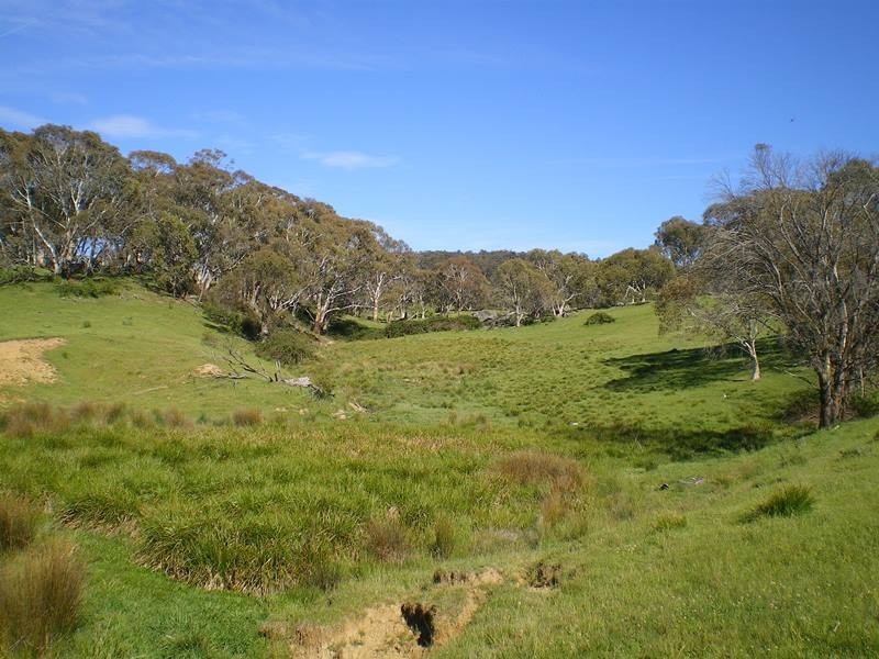 Part Glynwood Bugtwon Road, Adaminaby NSW 2629