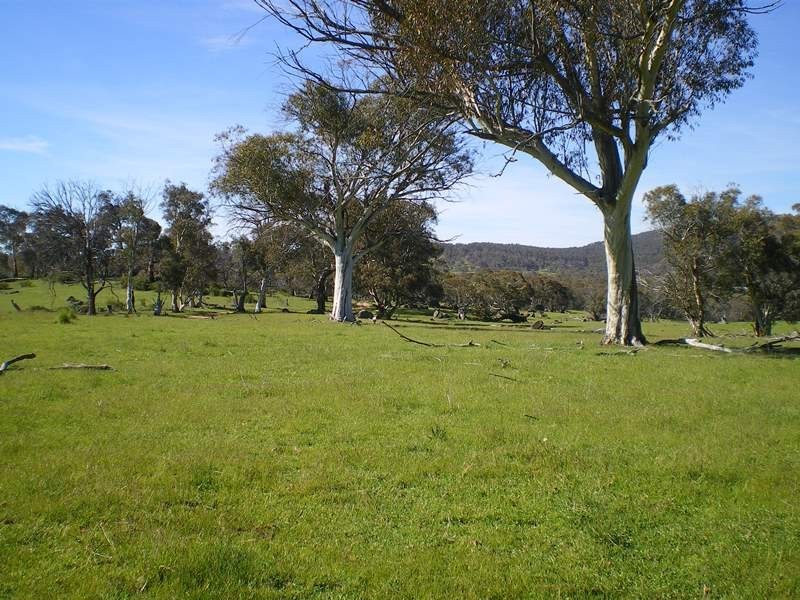 Part Glynwood Bugtwon Road, Adaminaby NSW 2629