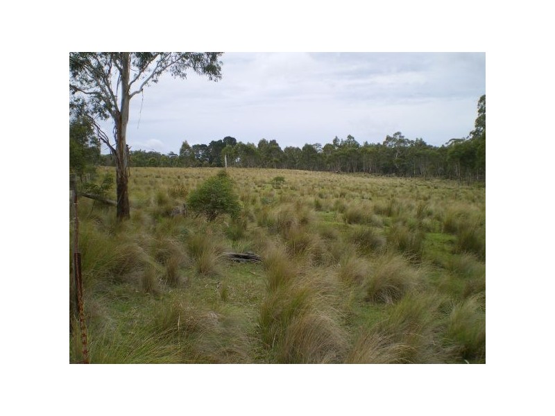 Lot 98 Badja Road, Countegany NSW 2630