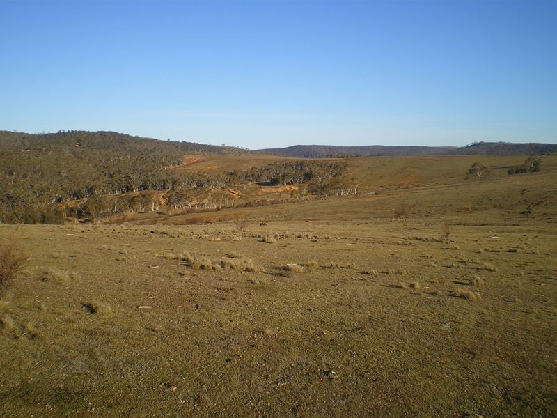 Lots 4 & 5 Jones Plain Road, Shannons Flat NSW 2630