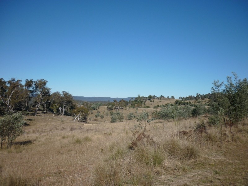 Collins Road, Numeralla NSW 2630