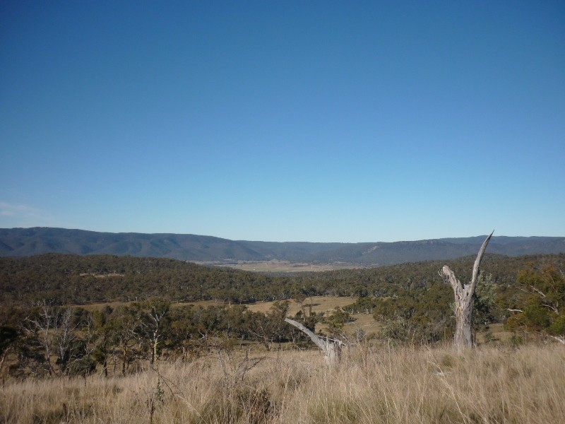 Collins Road, Numeralla NSW 2630