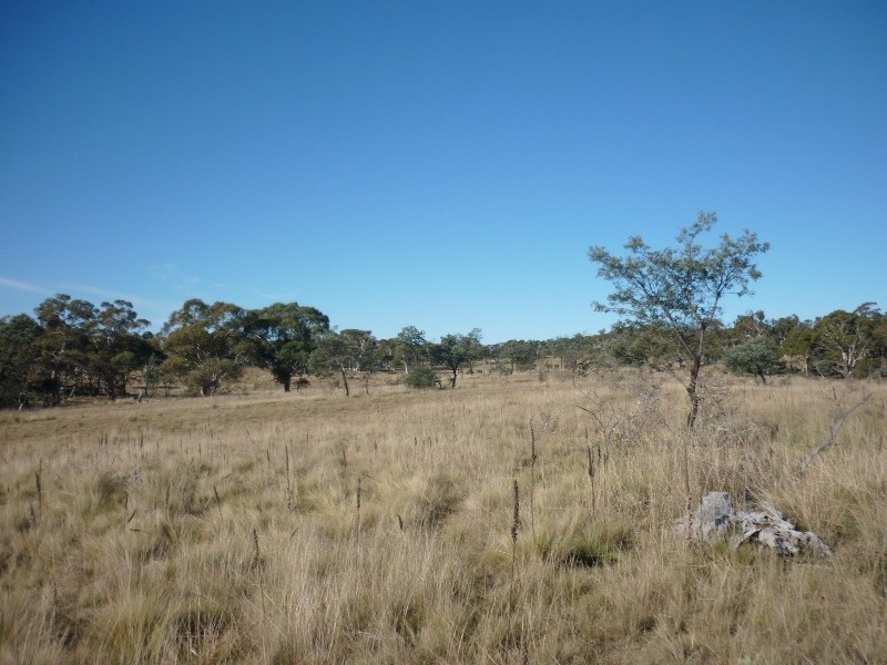 Collins Road, Numeralla NSW 2630