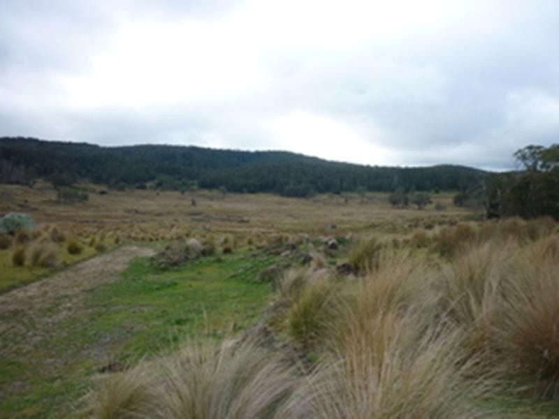Lot 5 Tuross Road, Kybeyan NSW 2631