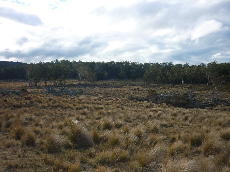 Lot 5 Tuross Road, Kybeyan NSW 2631
